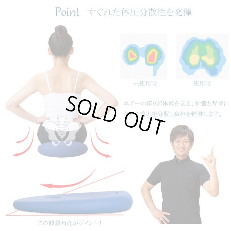 画像7: 姿勢クリエイター指導付「ランバークッションマスター」 (7)