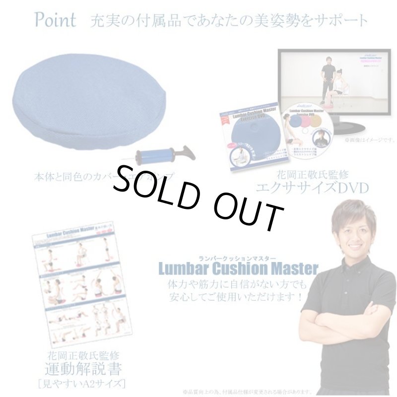画像10: 姿勢クリエイター指導付「ランバークッションマスター」 (10)
