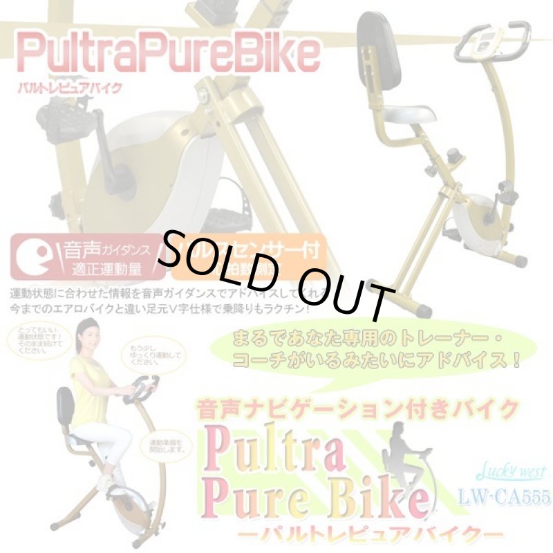 画像1: 音声ナビゲーション付きバイク「パルトレピュアバイク」 (1)