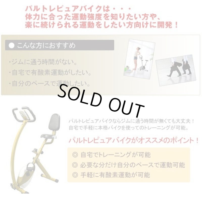画像2: 音声ナビゲーション付きバイク「パルトレピュアバイク」 (2)