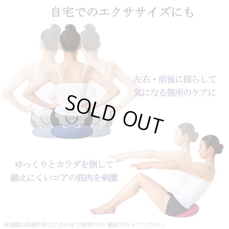 画像12: 姿勢クリエイター指導付「ランバークッションマスター」 (12)