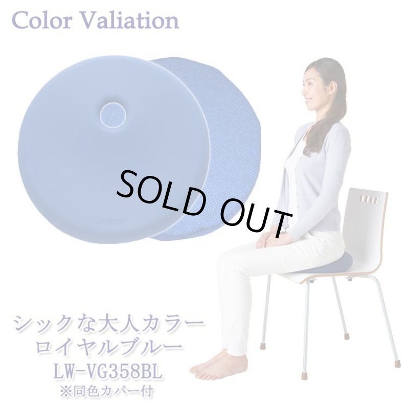 画像13: 姿勢クリエイター指導付「ランバークッションマスター」 (13)