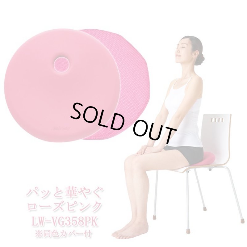 画像14: 姿勢クリエイター指導付「ランバークッションマスター」 (14)