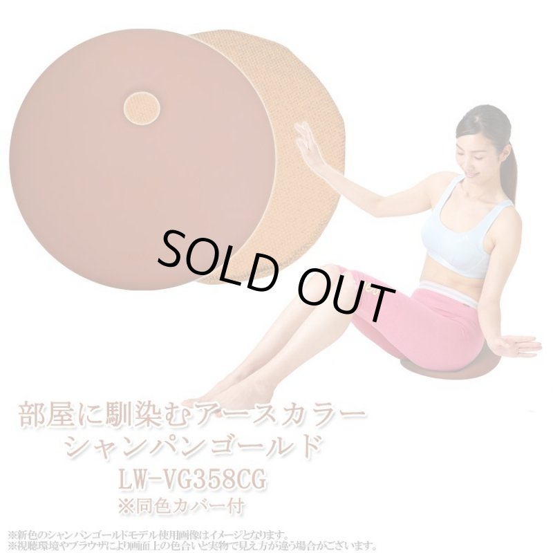 画像15: 姿勢クリエイター指導付「ランバークッションマスター」 (15)