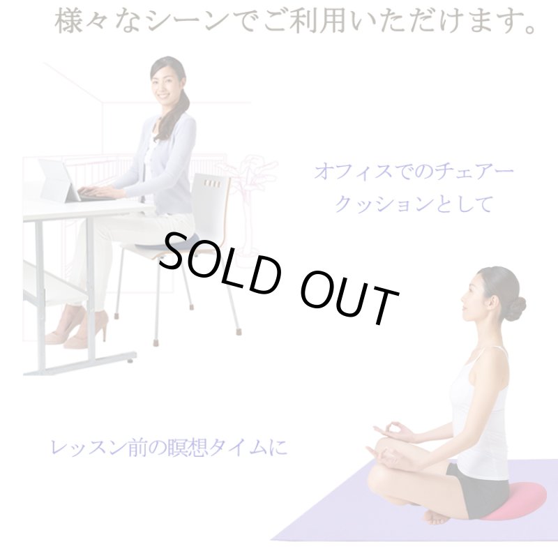 画像11: 姿勢クリエイター指導付「ランバークッションマスター」 (11)