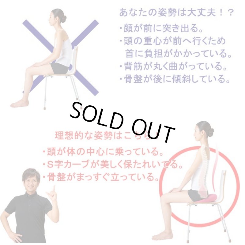 画像4: 姿勢クリエイター指導付「ランバークッションマスター」 (4)