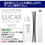 画像1: LUCASディフューザー専用詰め替えリフィル（オイル100ml・リードスティック7本） (1)