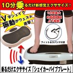 画像1: 乗るだけエクササイズ「シェイカーバイブプレート」 (フィットネス 振動マシーン チューブ付き ブルブル 上下振動 筋トレマシン ダイエット器具) (1)