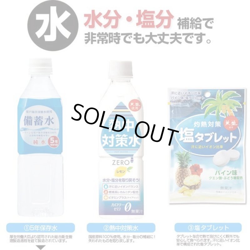 画像4: 熱中症対策キット10点セット (4)