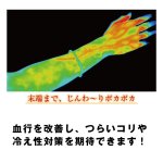 画像5: テスラヒーリング赤メノウブレス(olt) (5)