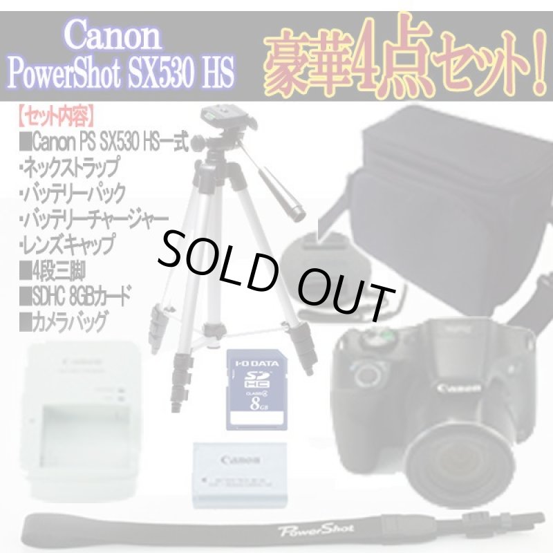 画像10: キヤノンPowerShot SX530 HS［豪華４点セット］ (10)