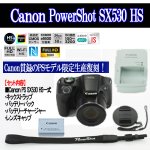 画像10: キヤノンPowerShot SX530 HS［カメラ本体のみ］ (10)