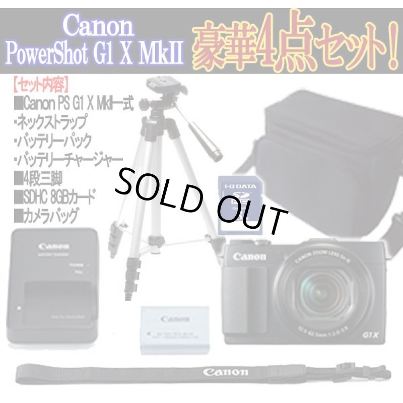 画像9: キヤノンPowerShot G1X MkII［豪華４点セット］ (9)