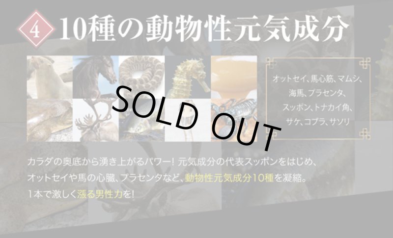 画像11: 強神根「鬼」(1本) (11)