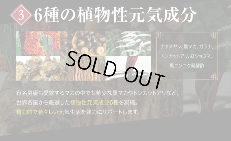 画像10: 強神根「鬼」(1本) (10)