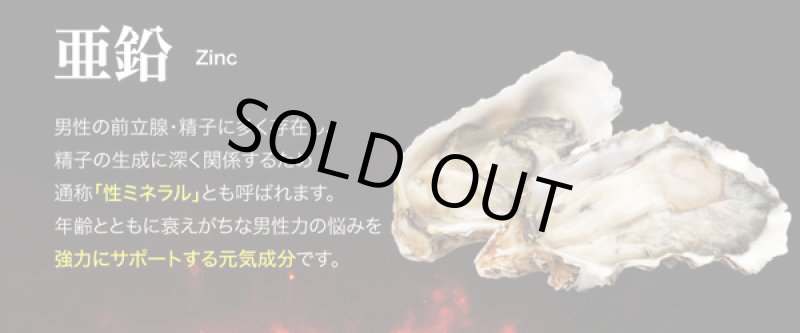 画像14: 強神根「鬼」(1本) (14)