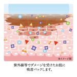 画像8: シミコームD (8)