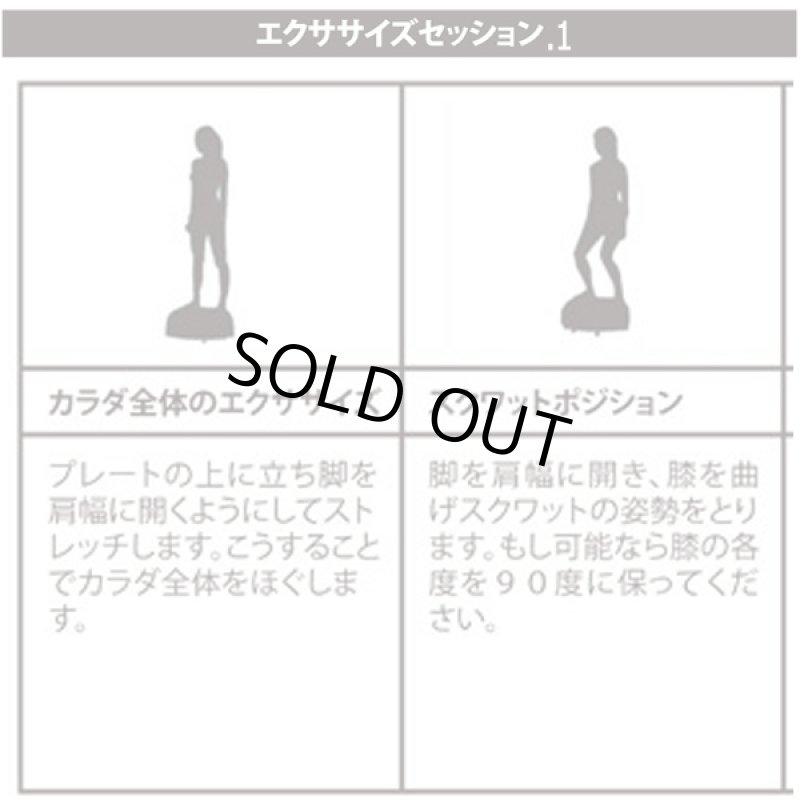 画像6: ボディコア振動「バイブレーションスタンド」 (6)