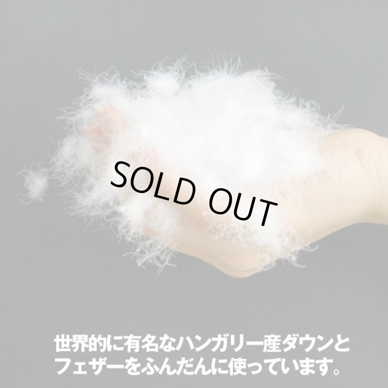 画像2: ハンガリー製 大判三層羽毛枕 (2)