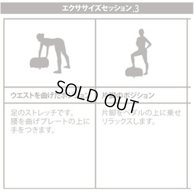 画像8: ボディコア振動「バイブレーションスタンド」 (8)