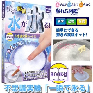 ラブメーターランダム2個セット (ハンドボイラー,沸騰器,化学玩具,イ