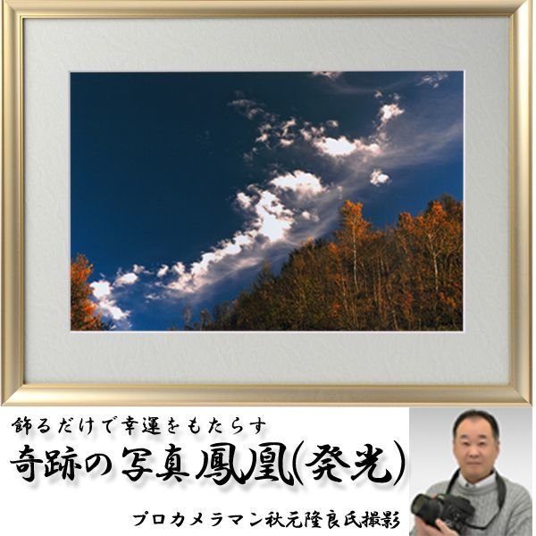 幸運をもたらす奇跡の写真「鳳凰（発光）」FRM-PHT02