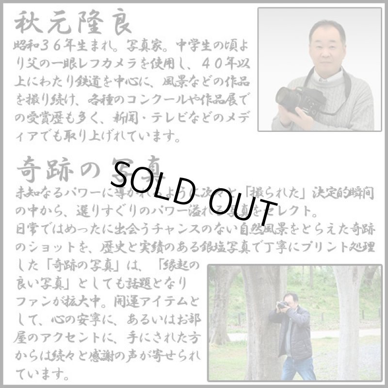 画像7: 幸運をもたらす奇跡の財布「鳳凰」 (7)