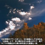 画像2: 幸運をもたらす奇跡の写真「鳳凰（発光）」 (2)