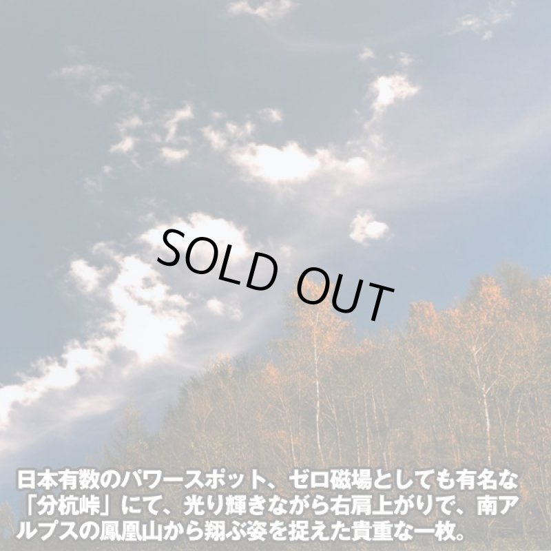 画像3: 幸運をもたらす奇跡の財布「鳳凰」 (3)