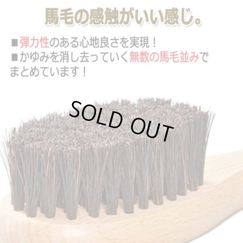 画像3: 天然木ロング孫の手弾力ブラシ (3)