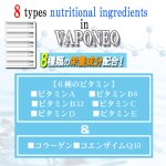 画像6: ビタミン配合充電式電子タバコ「VAPONEOヴェポネオ」 (6)