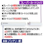 画像4: ビタミン配合充電式電子タバコ「VAPONEOヴェポネオ」 (4)