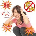 画像3: キャットおどろく「ノラ猫バイバイ！」お得な３パック(12袋入） (3)