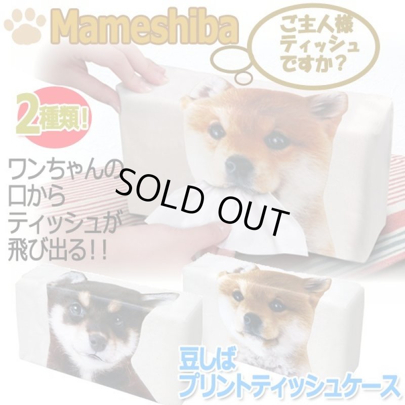 画像1: 豆しばプリントティッシュケース (1)