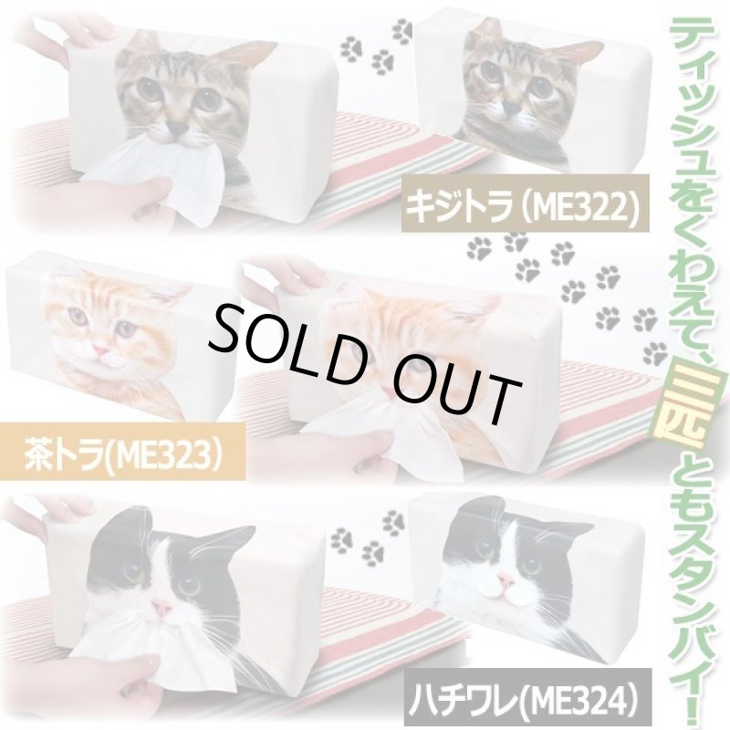 画像3: ねこのティッシュケース (3)