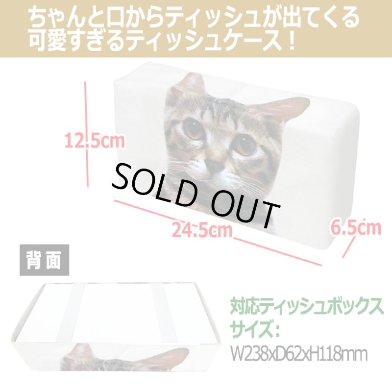 画像2: ねこのティッシュケース (2)