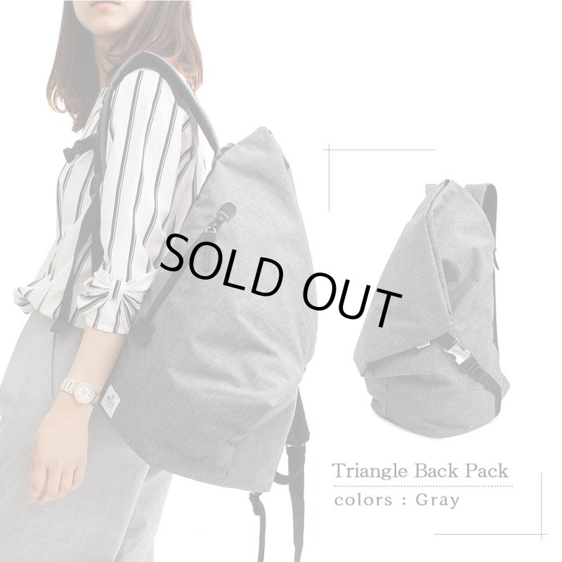 画像5: REGiSTAナイロントライアングルバックパック「537」 (5)