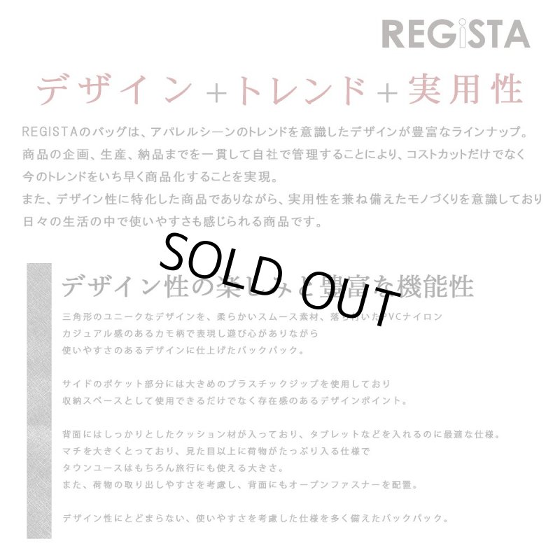 画像2: REGiSTAナイロントライアングルバックパック「537」 (2)
