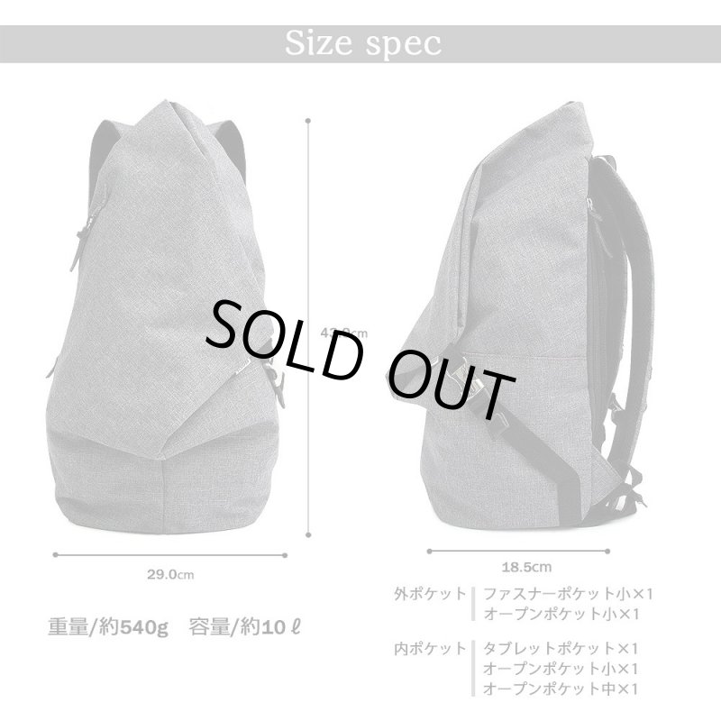 画像17: REGiSTAナイロントライアングルバックパック「537」 (17)