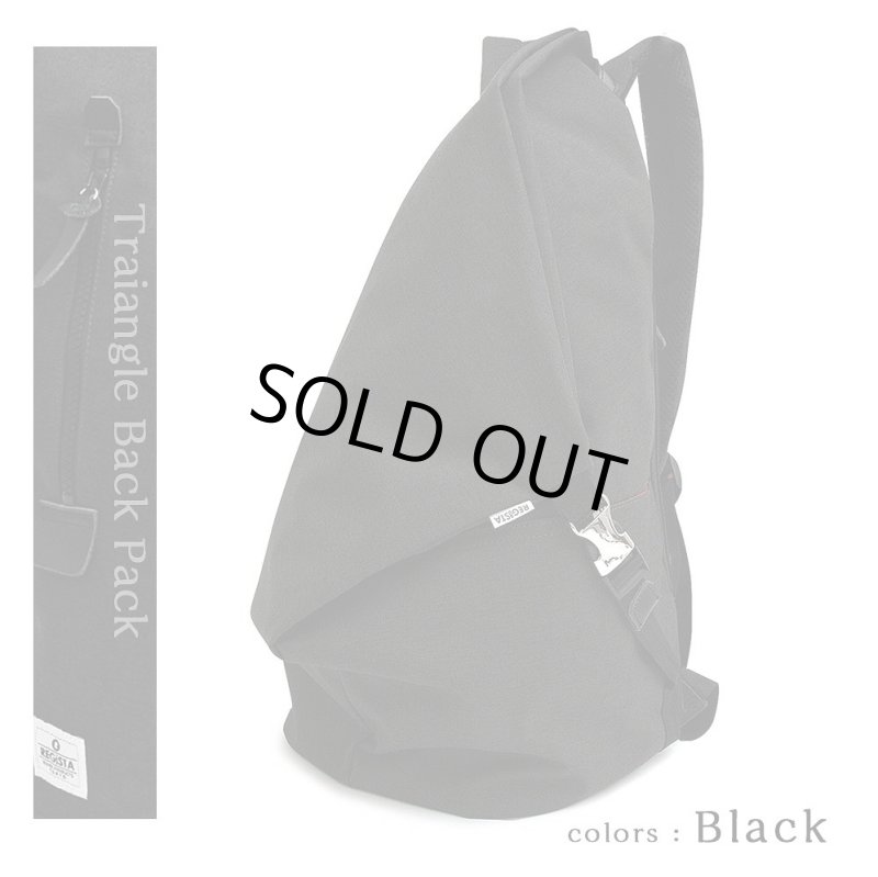 画像13: REGiSTAナイロントライアングルバックパック「537」 (13)