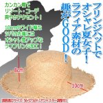 画像2: レディース ラフィア製ラフフリンジカンカン帽　 (2)