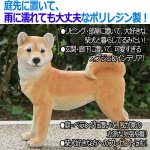 画像2: リアルなペットオブジェ「柴犬（大）」 (2)