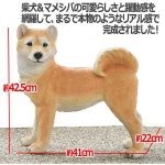 画像4: リアルなペットオブジェ「柴犬（大）」 (4)