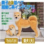 画像5: リアルなペットオブジェ「柴犬（大）」 (5)