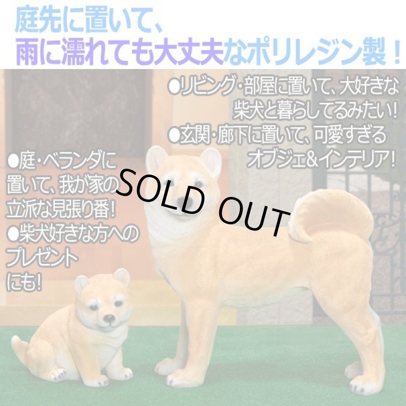 画像2: リアルなペットオブジェ「2体セット(柴犬&マメシバ)」 (2)