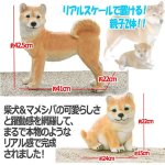 画像4: リアルなペットオブジェ「2体セット（柴犬＆マメシバ）」 (4)