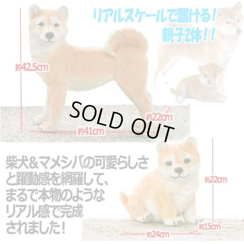 画像4: リアルなペットオブジェ「2体セット(柴犬&マメシバ)」 (4)