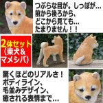 画像3: リアルなペットオブジェ「2体セット（柴犬＆マメシバ）」 (3)