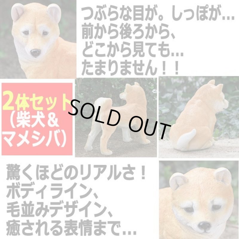 画像3: リアルなペットオブジェ「2体セット(柴犬&マメシバ)」 (3)