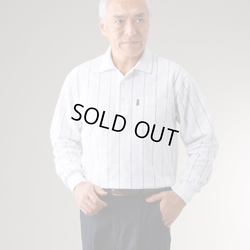 画像2: Pierucci（ピエルッチ）ストライプ柄サッカー長袖ポロシャツ2色組 (2)